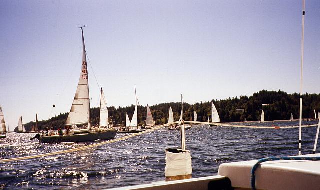 The Boats