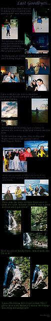 lastgoodbyes