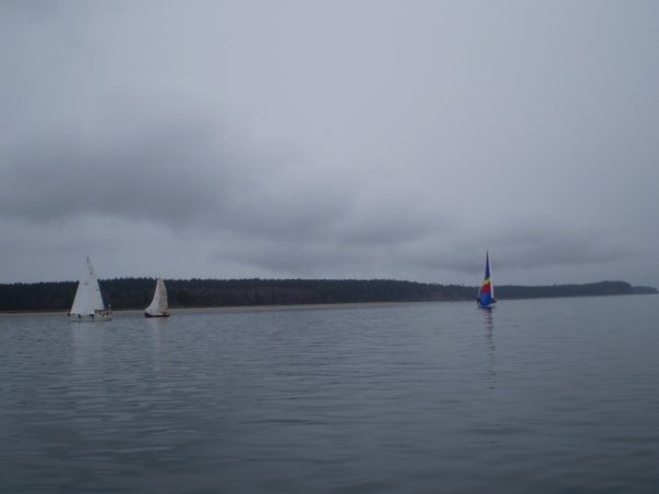 2663 65771796486 657021486 2068881 5158990 n