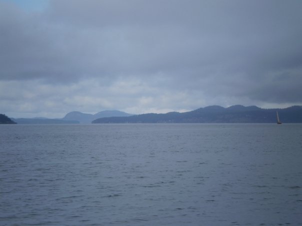 2663 65771841486 657021486 2068890 4648574 n