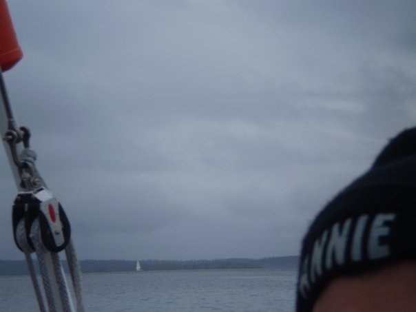 2663 65771846486 657021486 2068891 8349389 n