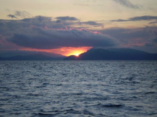 2663 65771896486 657021486 2068901 2136547 n