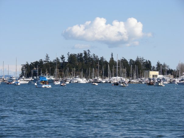 n1181641646 366896 4352148