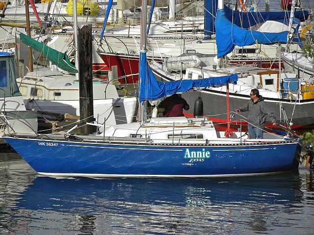 Round Saltspring 2011 D