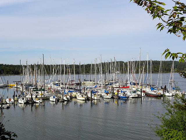 Round Saltspring 2011 E