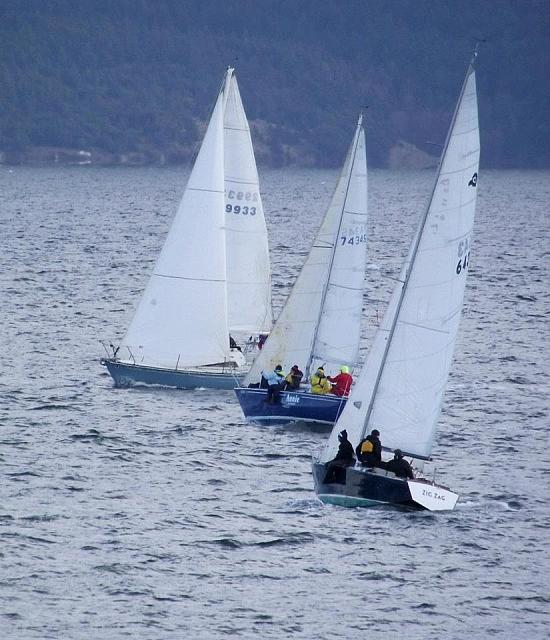 409172 282968798429733 145769288816352 784895 838001078 n