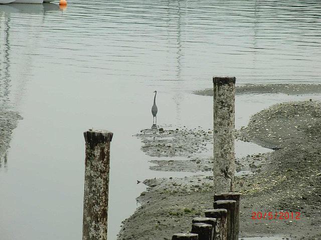 250723 10150822969140178 665350177 9877243 249368399 n