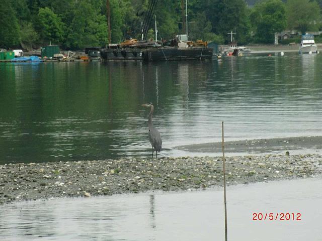 403389 10150822969335178 1149611195 n