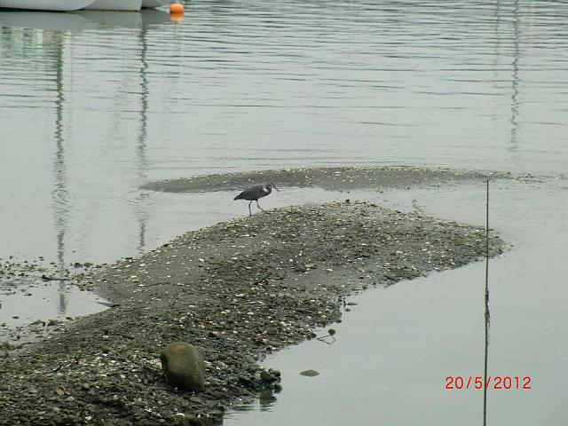 543546 10150822969280178 1498948361 n