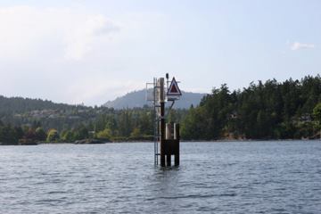 540601 10150810874868244 707093243 9587772 1049444385 n