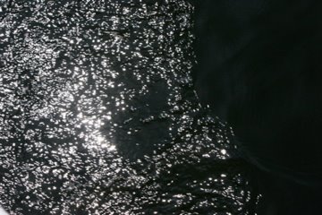 547690 10150810868448244 707093243 9587683 1057581776 n