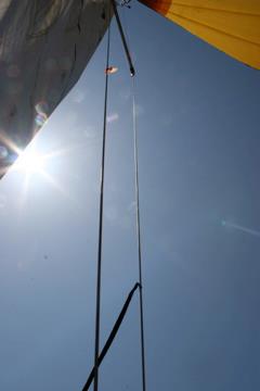 560577 10150810867198244 707093243 9587666 493741252 n