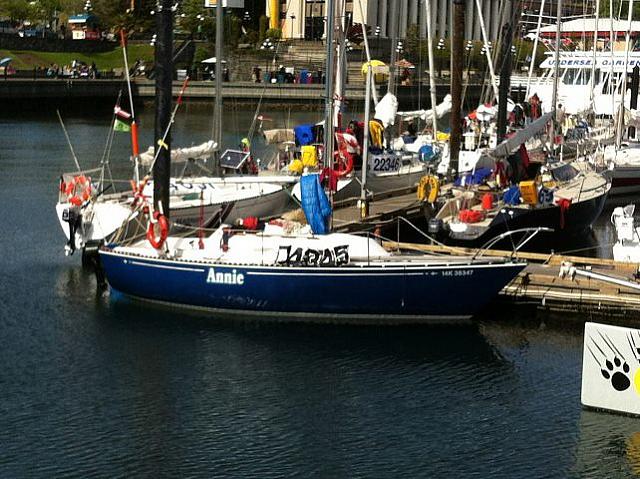 Annie after the race