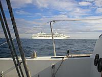 Andrew Singled Handed #5