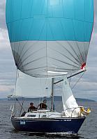 webAnnie-spinnaker-2