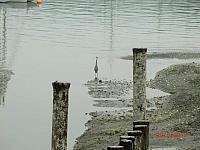 250723 10150822969140178 665350177 9877243 249368399 n