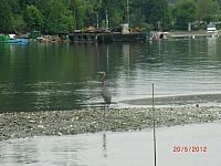 403389 10150822969335178 1149611195 n