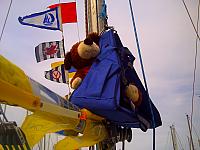 Round Saltspring Race and Events