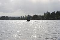 379232 10150810873978244 707093243 9587763 1790863446 n