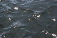 385663 10150810868538244 707093243 9587684 1311295226 n