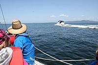 392472 10150810864378244 707093243 9587626 74862437 n