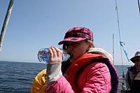 526688 10150810867533244 707093243 9587670 1838670343 n