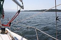 543642 10150810866968244 707093243 9587662 1529116768 n