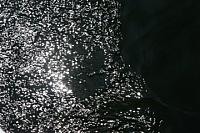 547690 10150810868448244 707093243 9587683 1057581776 n