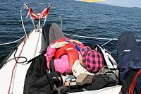 554286 10150810869173244 707093243 9587697 1021564533 n