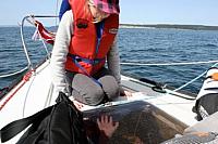 555319 10150810870548244 707093243 9587719 2075209276 n