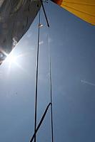 560577 10150810867198244 707093243 9587666 493741252 n