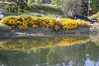 577414 10150810878148244 707093243 9587808 835241335 n