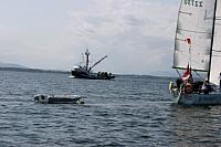 578323 10150810872228244 707093243 9587741 1009462260 n