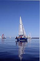 Wednesday Night Fun After Swiftsurec