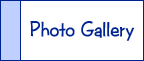 Photo Gallery