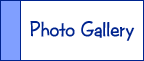 Photo Gallery